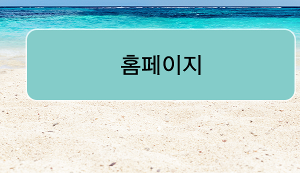 홈페이지 바로가기