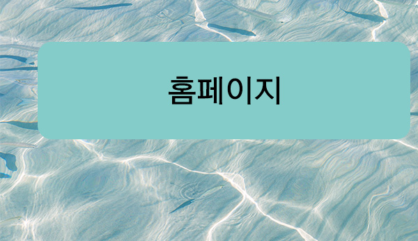 홈페이지 바로가기