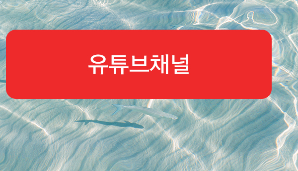 울산광역시시각장애인복지관 유튜브채널 바로가기