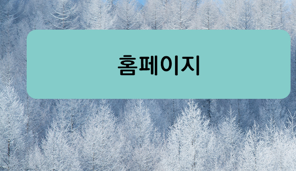 홈페이지 바로가기