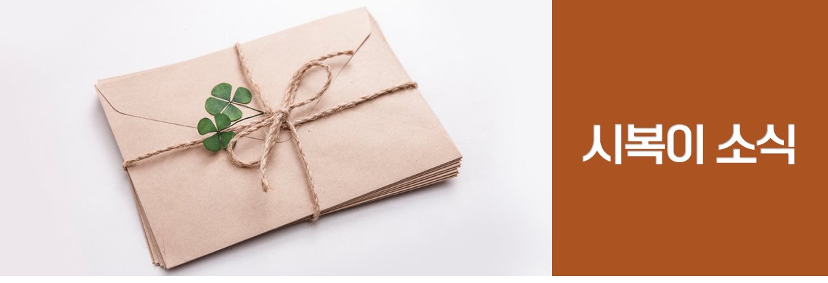 여덟번째 소식 시복이뉴스