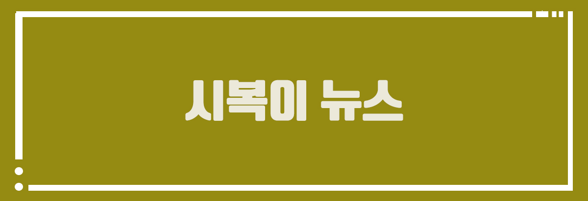 시복이 뉴스