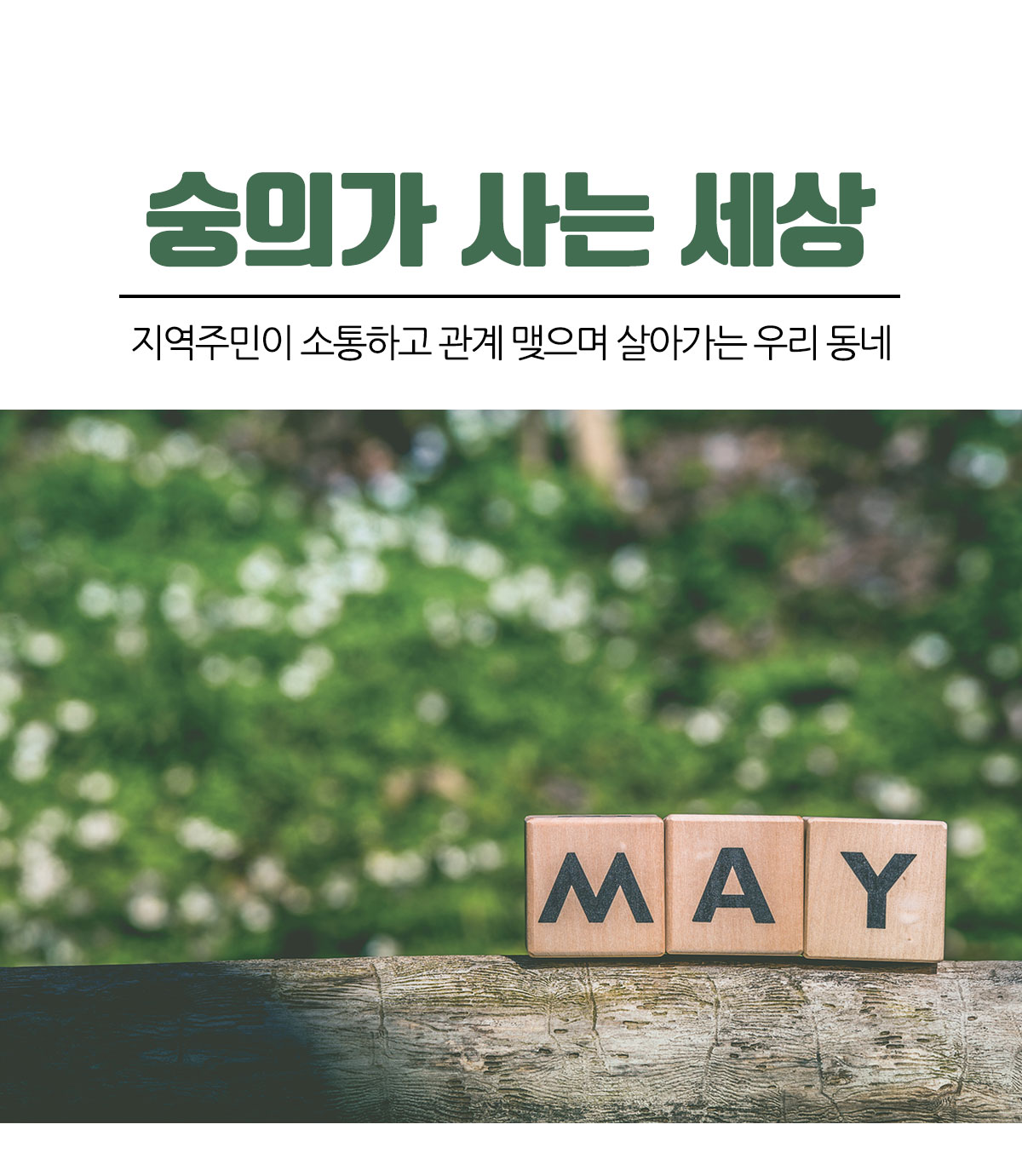 a.jpg