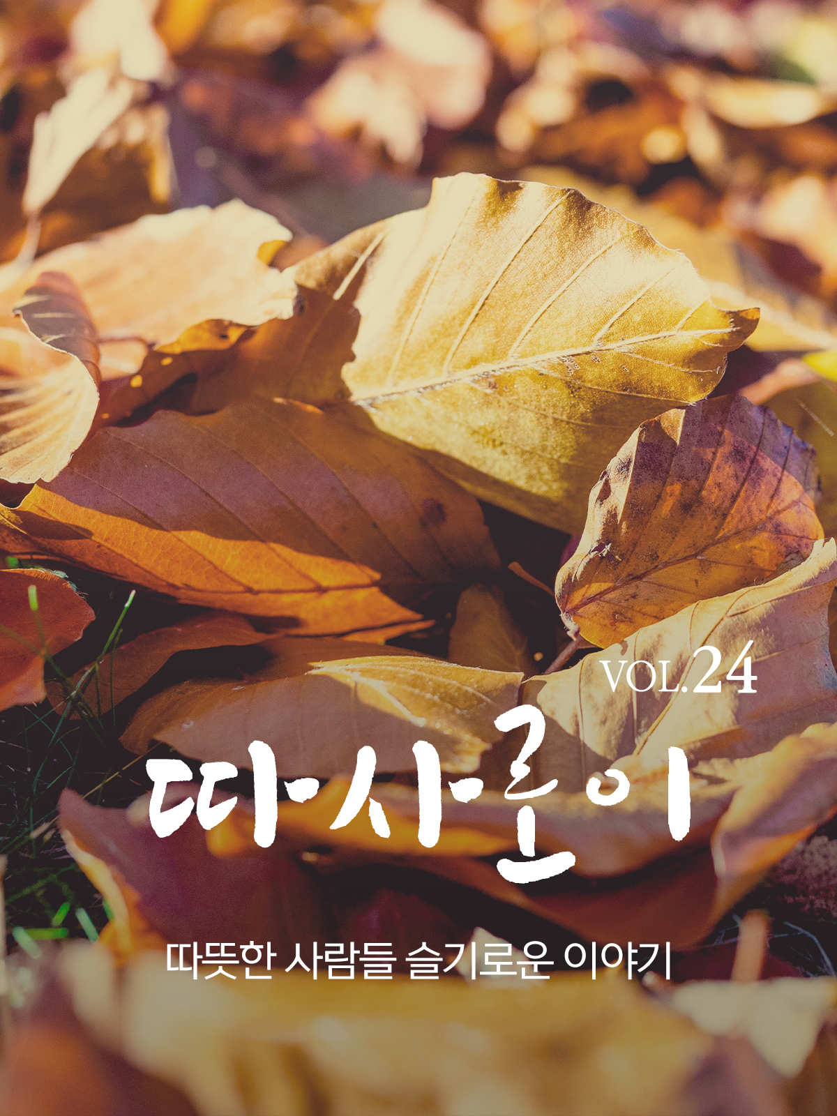 a.jpg