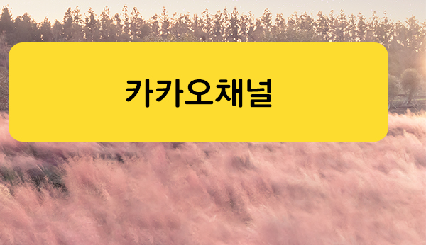 z.jpg
